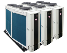 1527129893504332.jpg 20.jpg