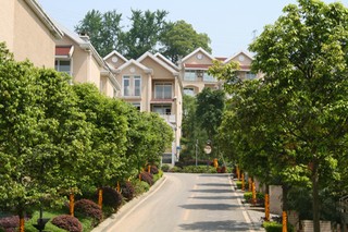 1527210234510916.jpg 1.jpg