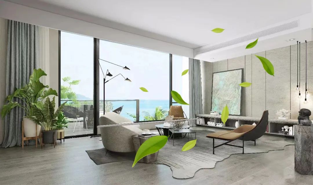 1676515273124003.jpg 9.jpg